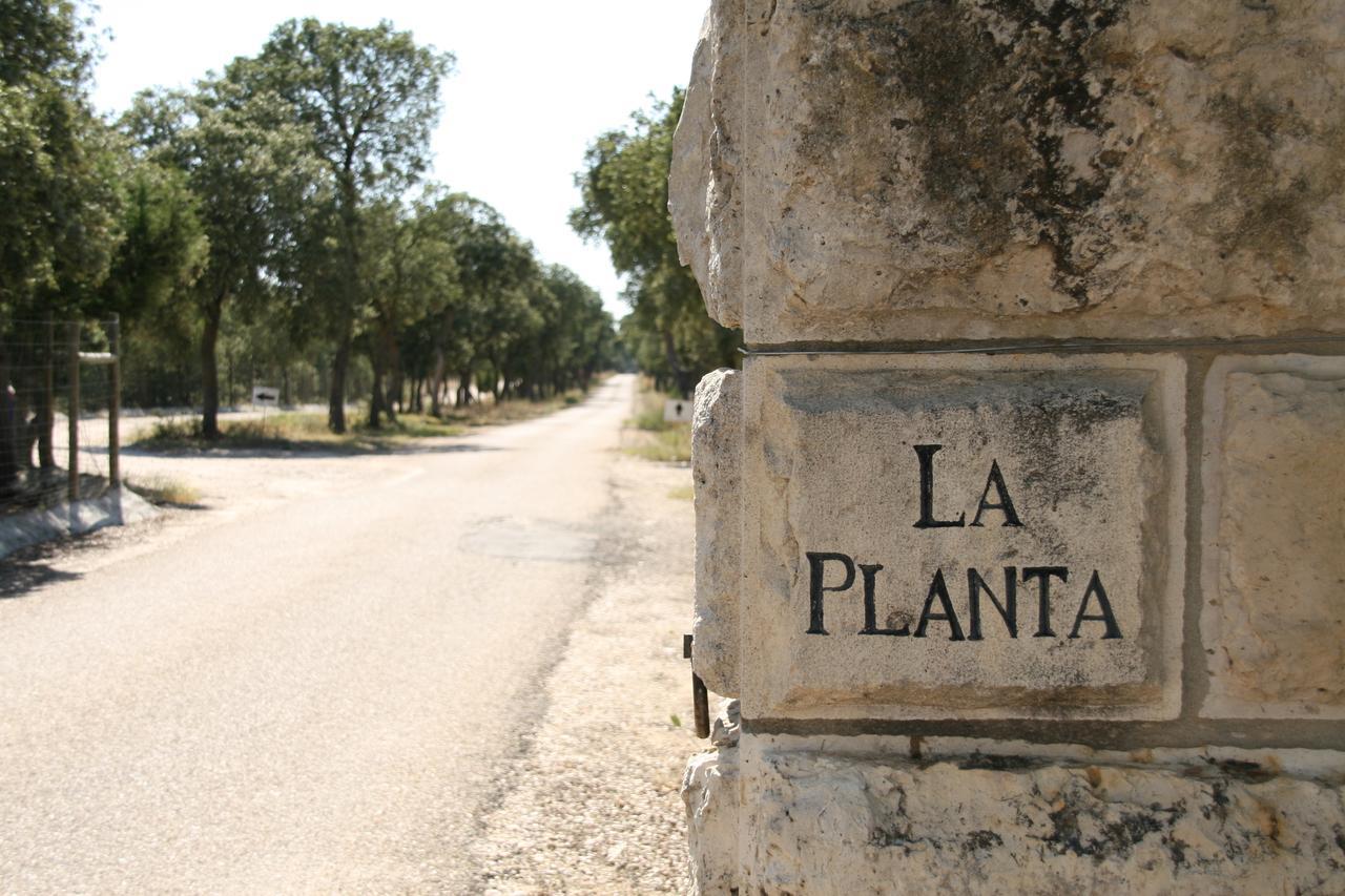 La Casita De La Planta Hotel ควินตานิลยา เด โอเนซิโม ภายนอก รูปภาพ